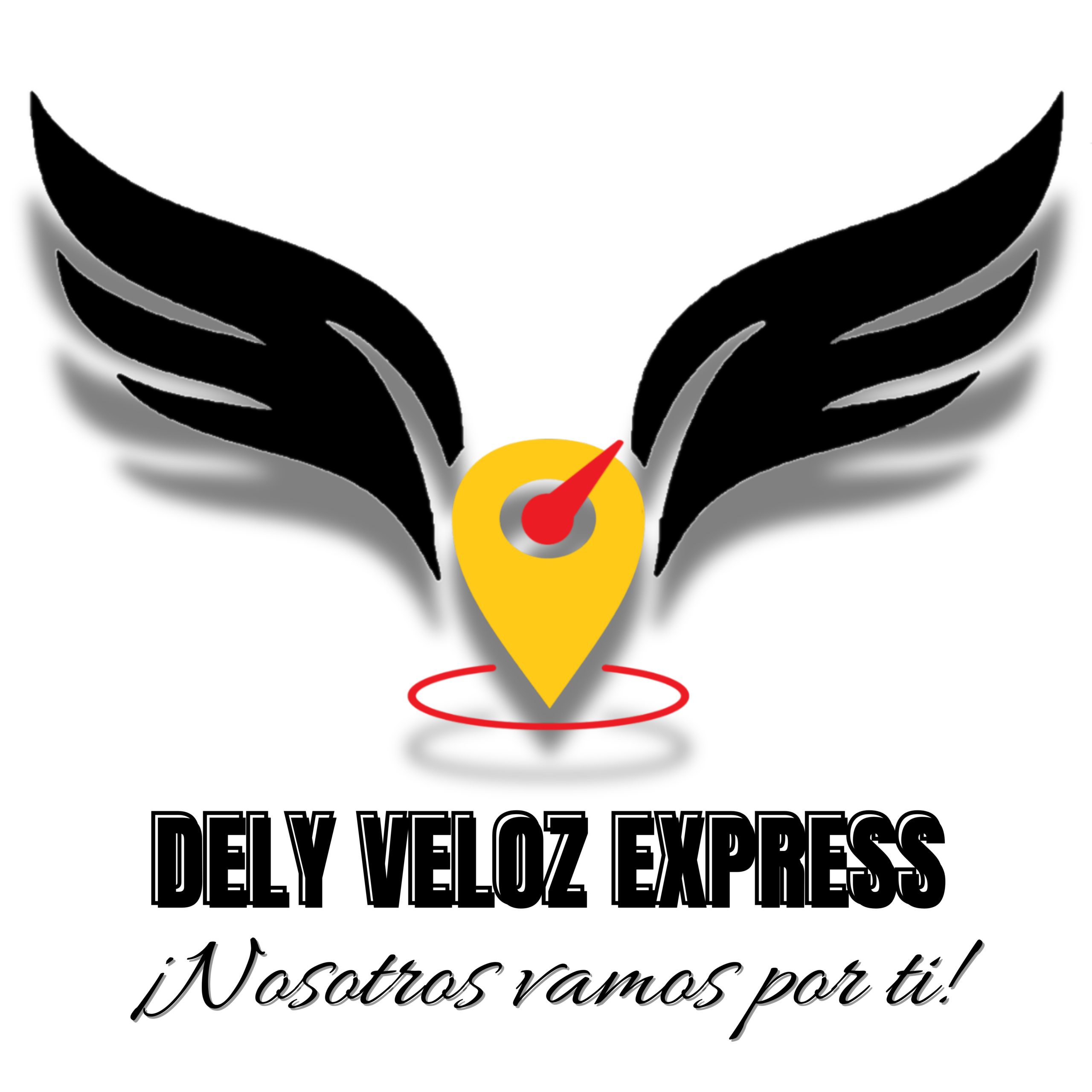 DELY VELOZ EXPRESS S.A.C.